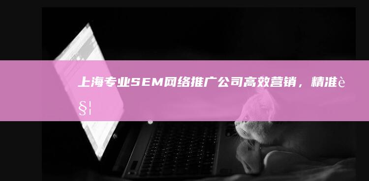 上海专业SEM网络推广公司：高效营销，精准触达目标用户